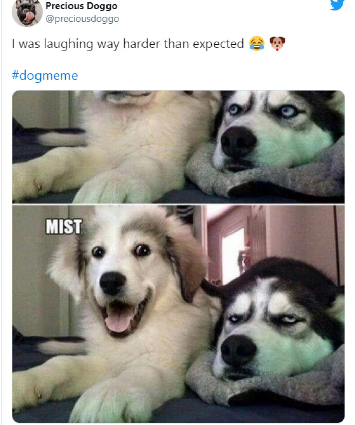 13. Another reason why dogs make the best friends, and yes, this is quite funny... Lol