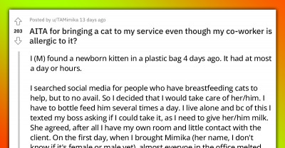 Man Gets Permission To Bring A Newborn Kitten To Work, Gets Angry Looks From Allergic Coworker