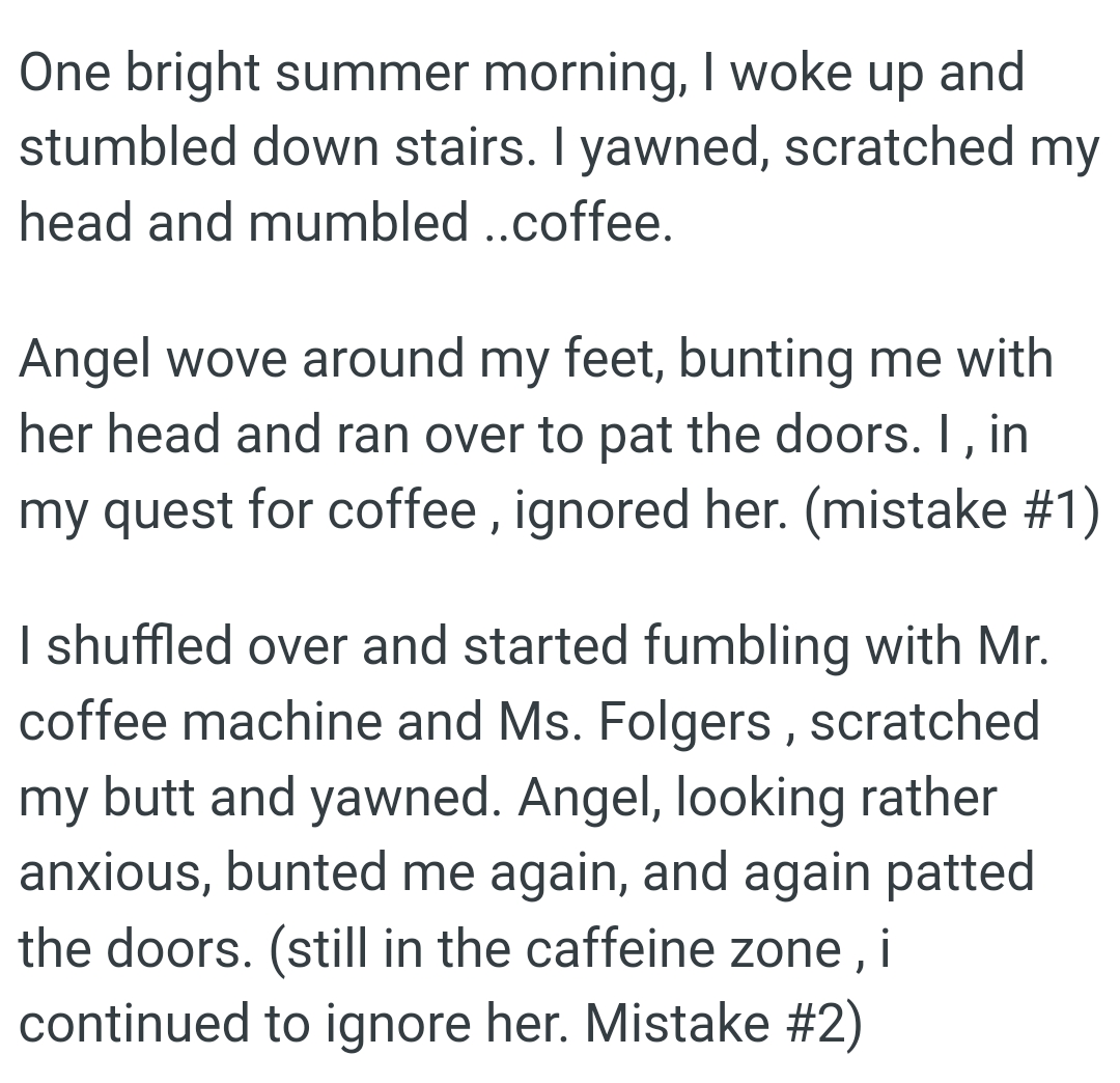 The cat went around OP's feet, bunting their leg with her head and ran over to pat the doors