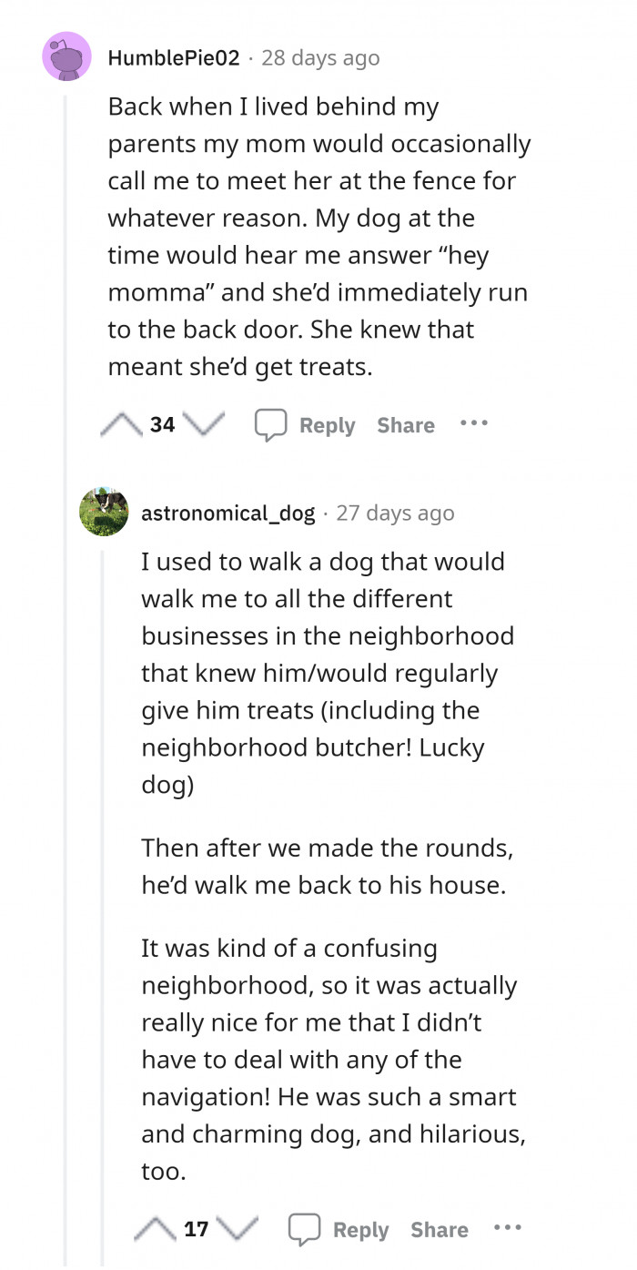 14. "When I answer, 'Hey momma,' she knows that means she'll get treats."