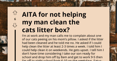 Cat Pee Incident Sparks A Fight After A Woman Says Night School Leaves No Time For Litter Box Duty
