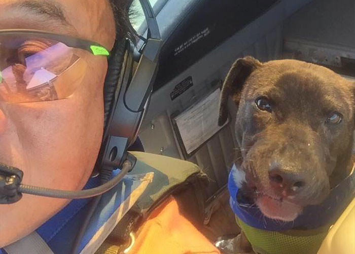 His retirement gig started when he came across Pilots N Paws—a non-profit organization that aims to save the lives of innocent animals.
