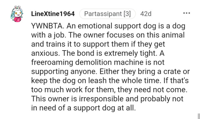 Either They Bring a Crate or They Keep the Dog on a Leash the Whole Time