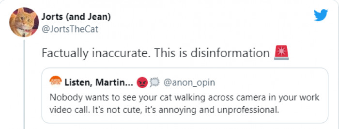 3. Come on, isn't that supposed to be an awaited moment during Zoom calls?