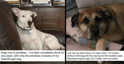 The Love and Happiness Brought by Puppers Is Worth Every Dog Hair, and 21 Pet Owners Agree