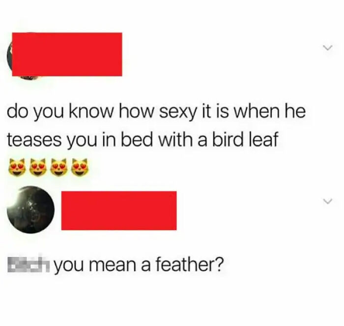 4. A bird leaf is what exactly?