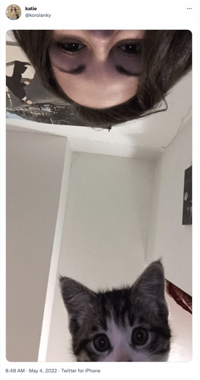 6. Now this one is like 'hey kitty, come here so you can see something interesting'