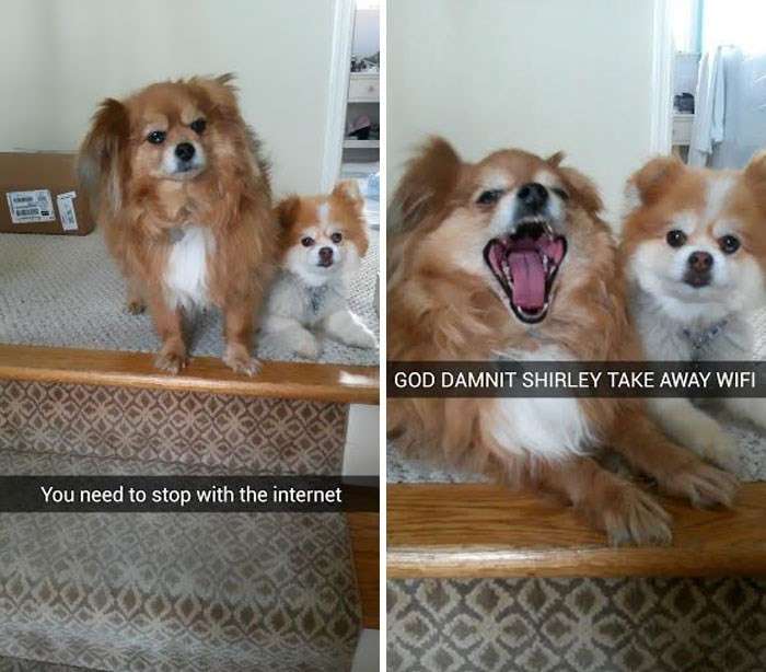 9. Stop with the internet and attend to us right now!