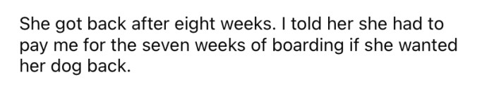 The Redditor's sister went away for eight weeks when the OP had only agreed to take care of her dog for one week.