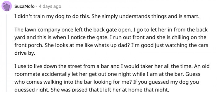 I didn't train my dog to do this