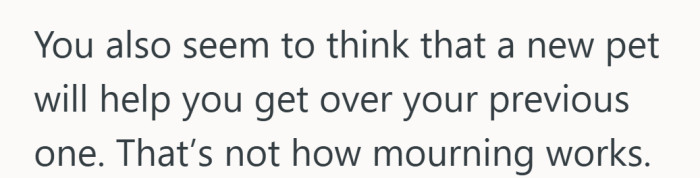 A blunt correction that draws a hard line between grief and distraction.