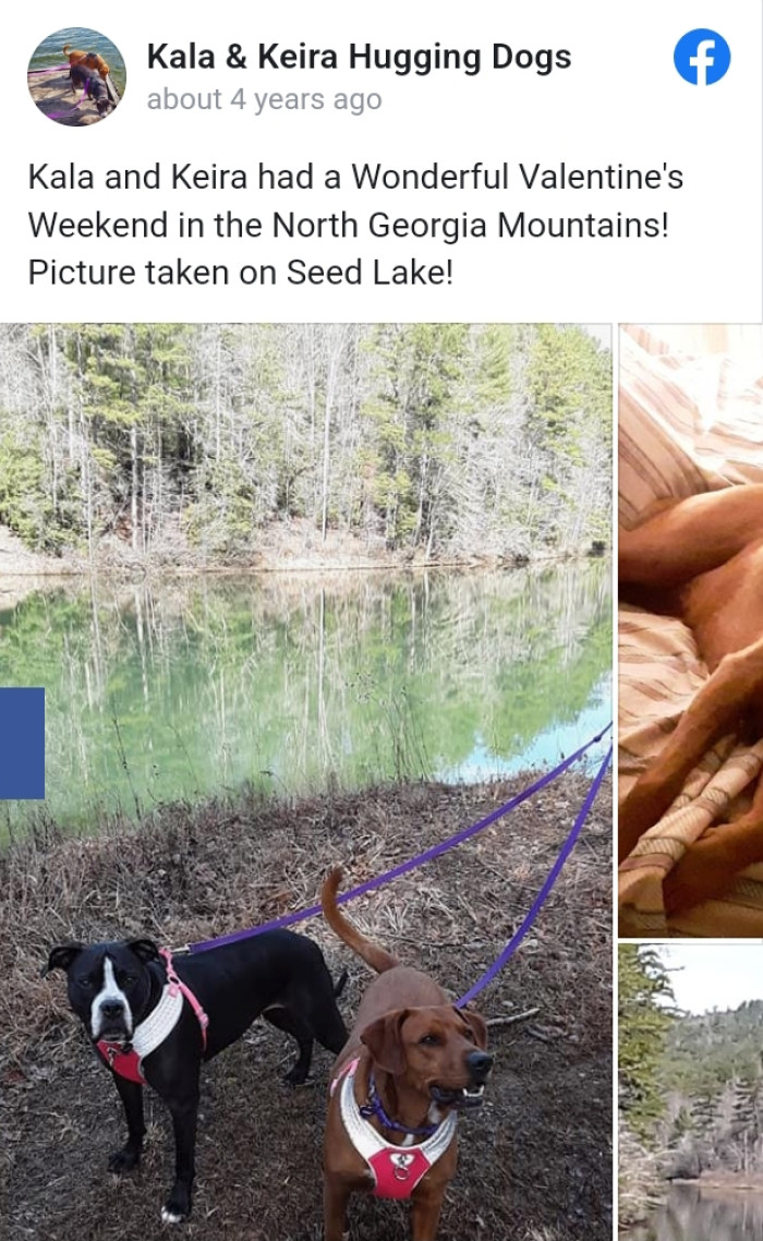 Thankfully, these two girls are now happily living in their new home, and we're happy about it