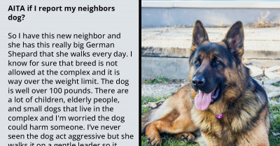 Redditors Bash User Who Intends to Report Neighbor's German Shepherd Who Has Never Displayed Aggressive Behavior
