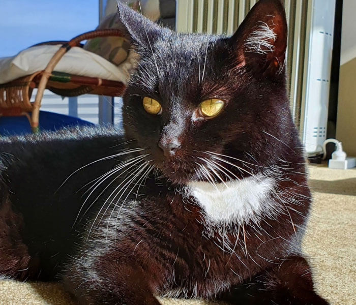 Coco Was NOT Pleased