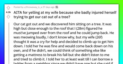 Man Yells At Wife For Risking Her Life In Order To Save Their Cat From A Tree