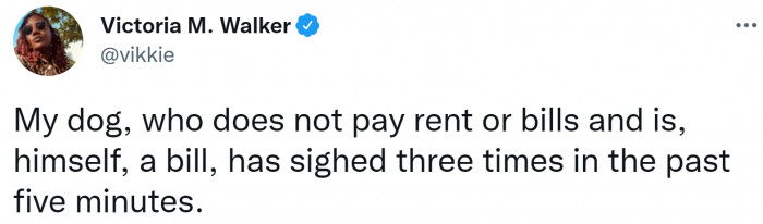 8. Maybe he just sympathizes with his owner