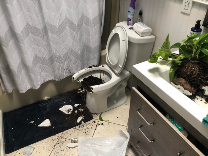 50. Wife bought a new plant pot and put it on the shelf over the toilet. And hour later we heard a crash...