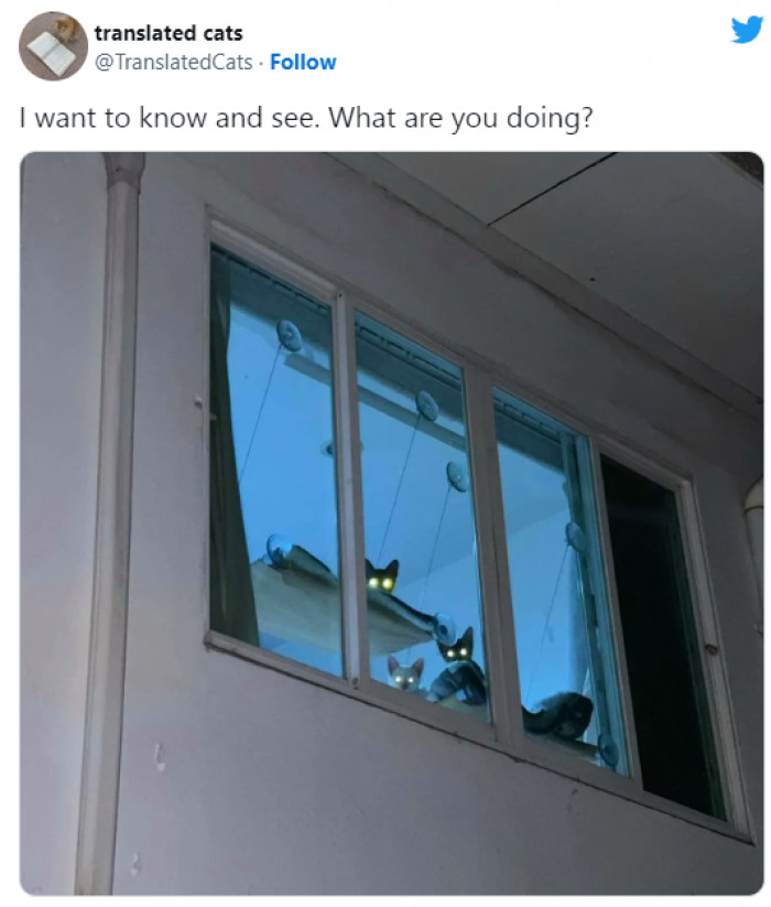 21. Something interesting?