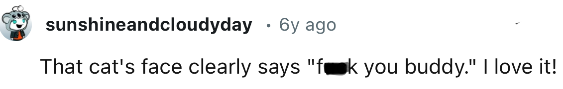 The cat's face says a lot