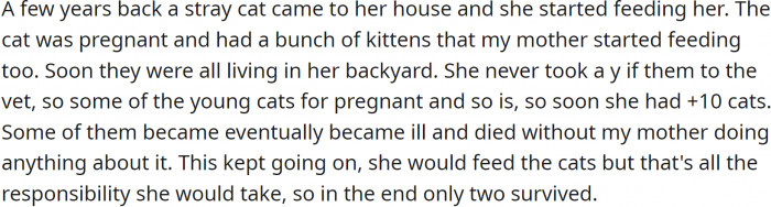 OP is frustrated with her mother's lack of responsibility for the cats she was taking care of.