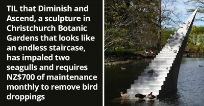 The Diminish And Ascend Sculpture That Looks Like An Endless Staircase Requires $700 Monthly Because Of Birds