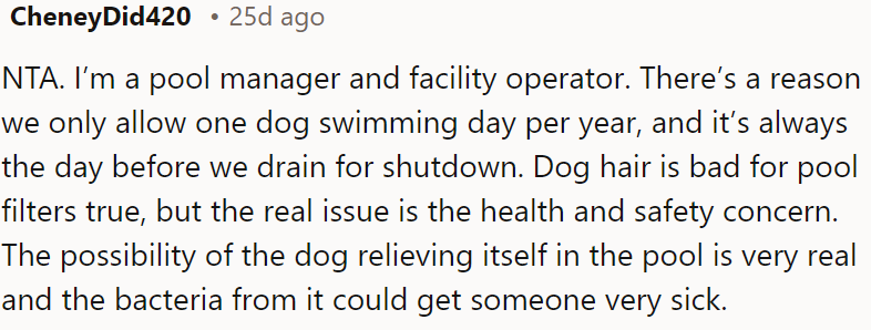 Dog hair clogs filters, but the main concern is health and safety due to the risk of contamination from dogs relieving themselves in the pool, potentially causing illness.