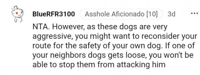 20. Reconsidering your route for your dog's safety