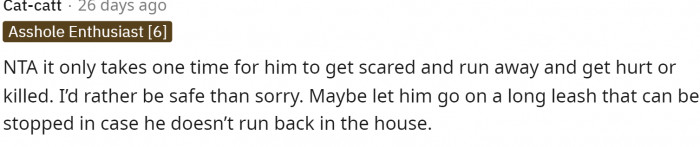 People began giving good reasons as to why the dog should just be kept on a leash.