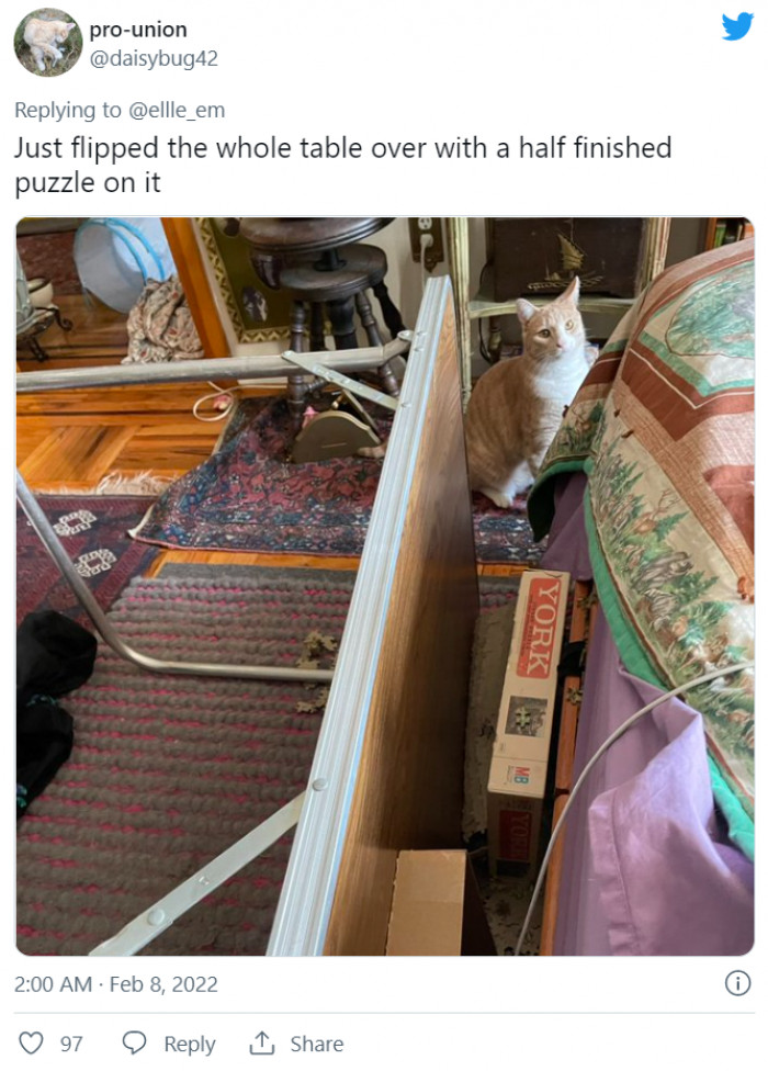 11. Her face looks like it just says, "Well, that's not my problem now!"