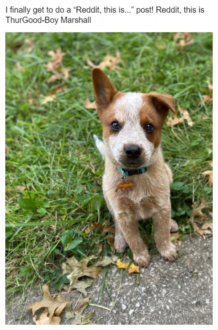 13. Say hello to ThurGood-Boy Marshall!