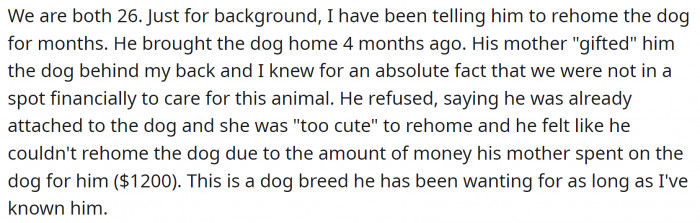 Her mother-in-law gave her husband a dog