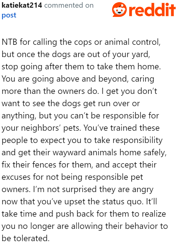The OP just needs to assert her stance until the neighbors realize they need to do something about their dogs.