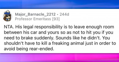 Redditor Asks If They Were Right Hitting The Brakes To Avoid Hurting A Cat, Almost Causing Car Behind To Slam Into Theirs