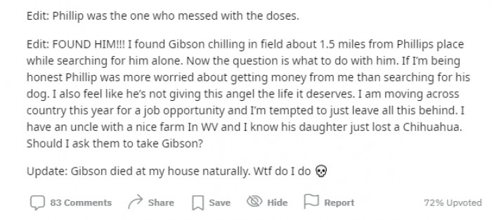 Apparently, the OP later found Gibson in a field but was then debating whether to return him to his owner or take him to live on his uncle's farm. In another update, the OP said that Gibson had died naturally.