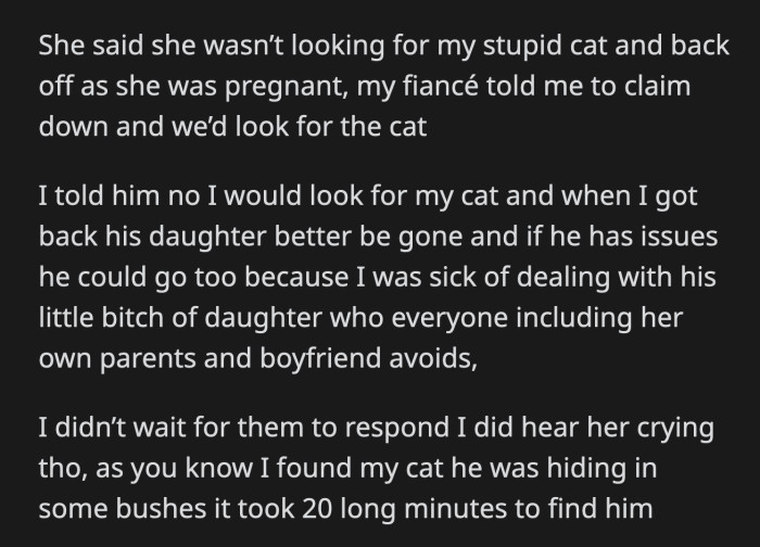 OP Cut Her Fiancé Off When He Said They Could Look for the Cat. OP Found Whiskey 20 Minutes Later Hiding in a Random Bush.