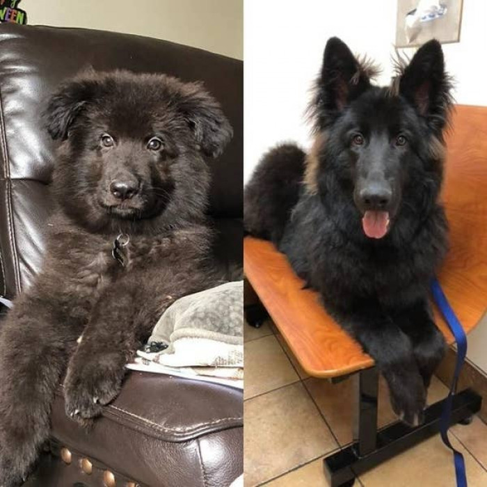 10. Cubbie is still sweet as ever.