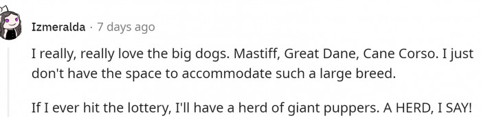 Mastiff, Great Dane and Cane Corso