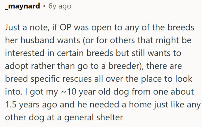You can find purebreds in shelters... they get abandoned too...