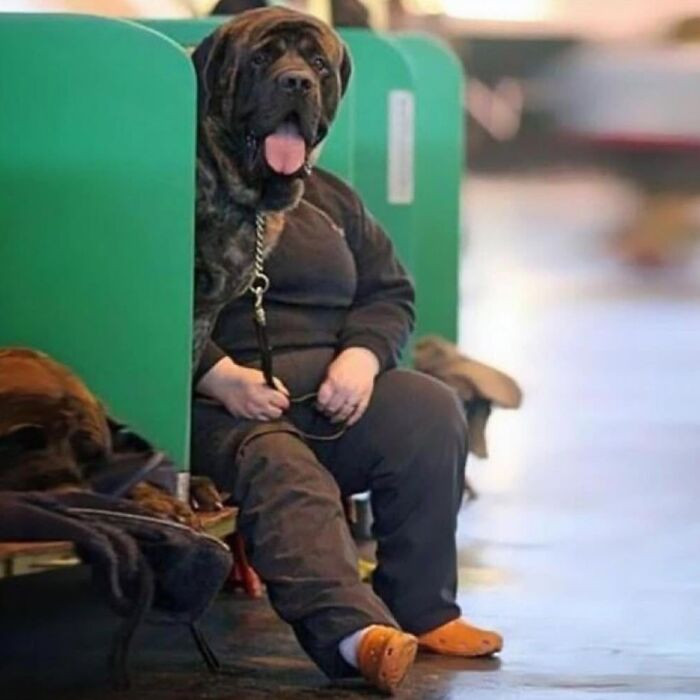 27. When you accidentally open the front camera.