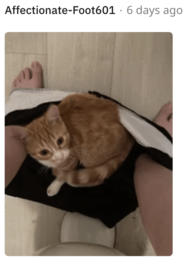 20. I'll find my way in