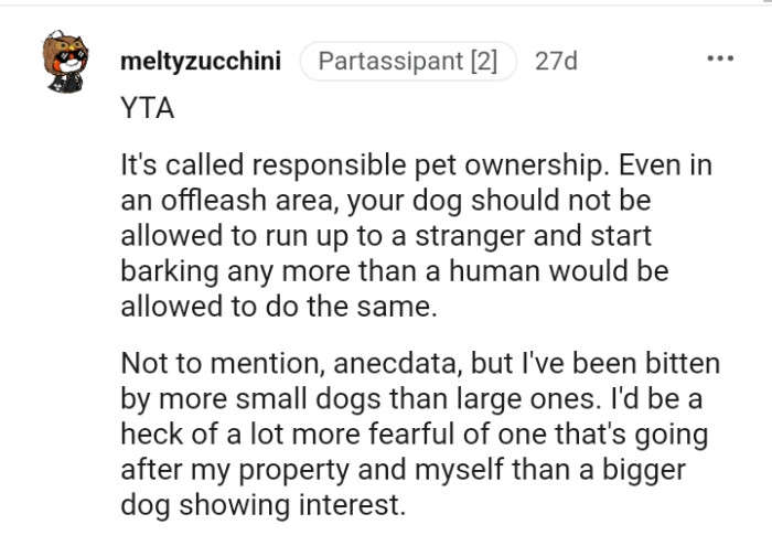 This Redditor Terms the OP's Actions Irresponsible