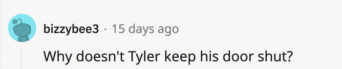 They raise the question of why Tyler doesn’t protect his belongings by closing his door
