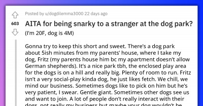 Redditor Acts Aggressively Towards A Stranger For Telling Her Not To Play "Individual Games" With Her Dog At A Dog Park