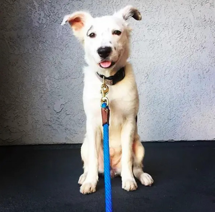 16. He might be grown, but he's still my baby