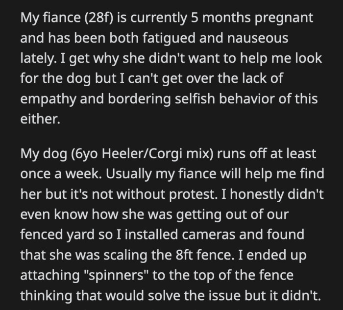 She told him she was tired of chasing his dog and that OP should have watched her more carefully