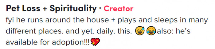 Max does random things. But doing his laps is a priority.