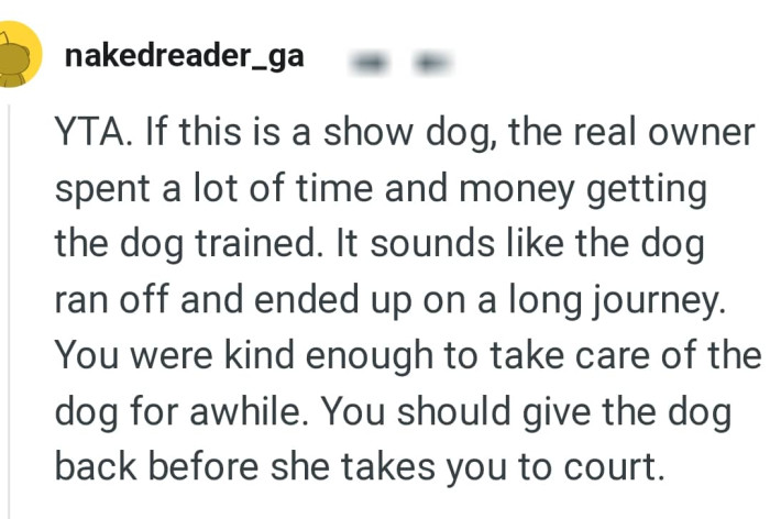 The OP should give the dog back before he gets sued