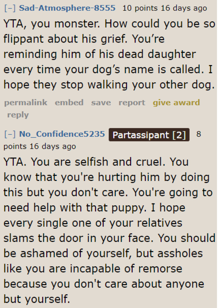 The OP Is Downplaying Her BIL's Grief.