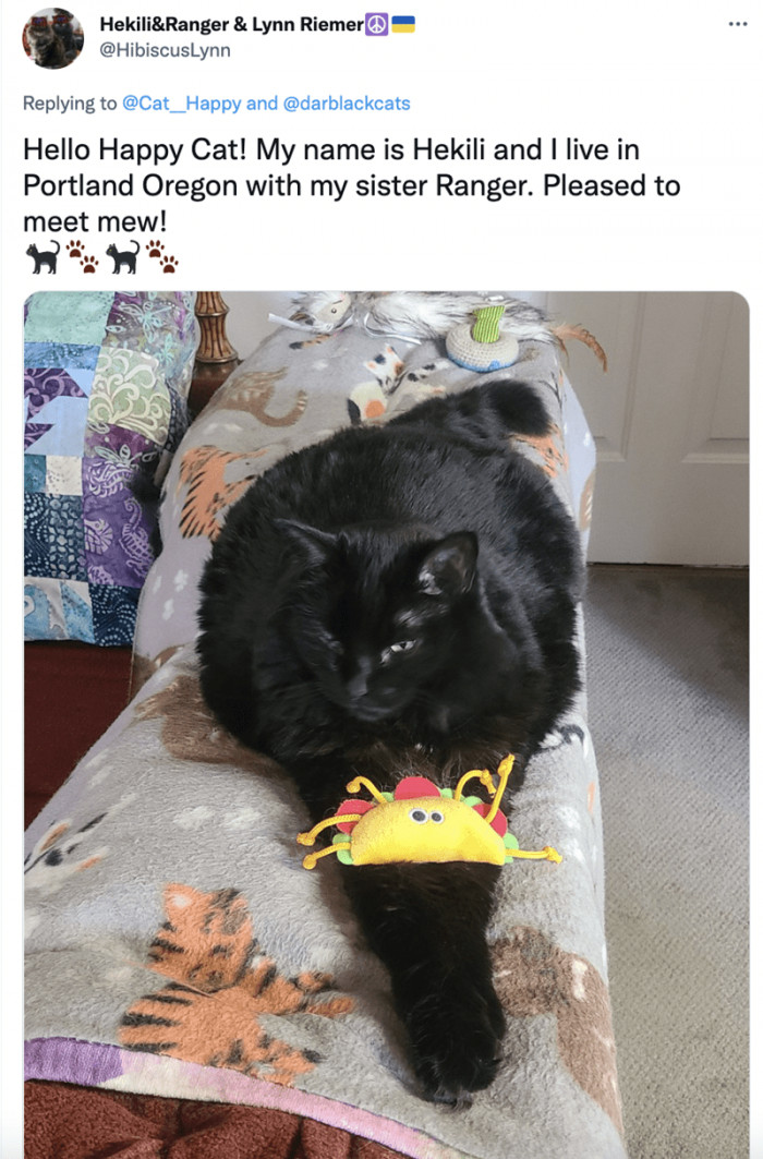 12. Here's all you need to know about Hekili