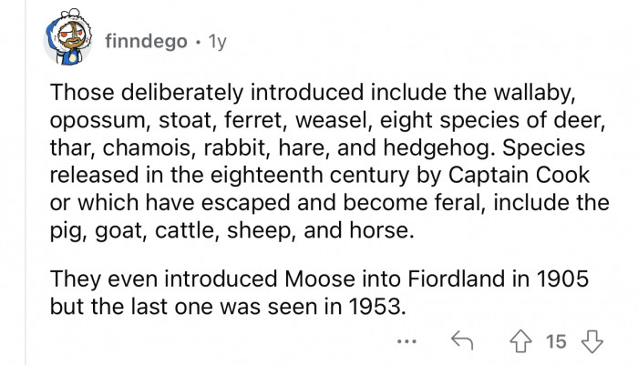 Some animals were deliberately introduced by Captain Hook.